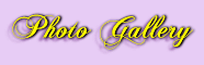 photo gallery