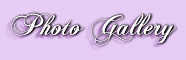 photo gallery